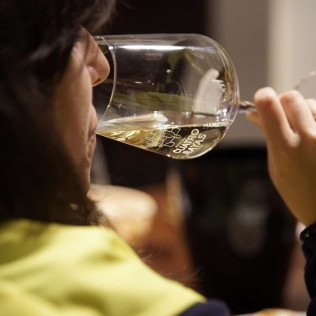 Experiencia Cuarenta Vendimias: Visita y Cata en Bodega Cuatro Rayas (La Seca, Valladolid)