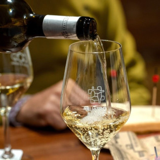 Experiencia Cuarenta Vendimias: Visita y Cata en Bodega Cuatro Rayas (La Seca, Valladolid)