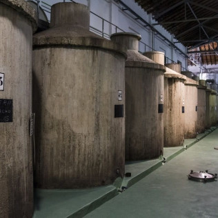 Experiencia Cuarenta Vendimias: Visita y Cata en Bodega Cuatro Rayas (La Seca, Valladolid)