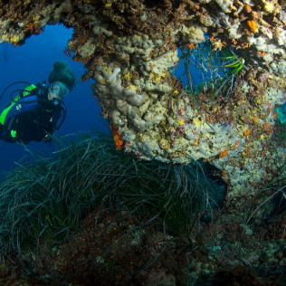 Curso de Buceo "Open Water Diver" en Calvià (Mallorca)