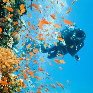 Curso de Buceo "Open Water Diver" (Málaga)
