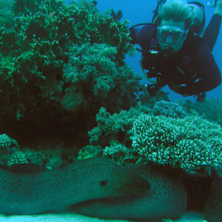 Curso de Buceo "Open Water Diver" (Málaga)