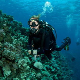 Curso de Buceo "Open Water Diver" (Málaga)