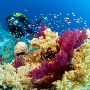 Curso de buceo "Open Water Diver" (Ibiza)