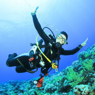 Curso de Iniciación al Buceo con Fotos y Vídeos (Vilagarcía de Arousa, Pontevedra)