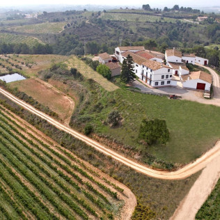 Visita-Curso de Enología y Degustación en Bodega para dos (Barcelona)