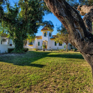 Day Pass: Acceso a Piscina, Hamaca, Crédito Gastronómico y Brocheta de frutas en Inmood San Roque 4* (San Roque, Cádiz)