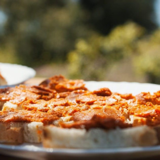Gastro Dehesa: Ruta Musealizada de la Dehesa y Degustación (Mérida, Badajoz)