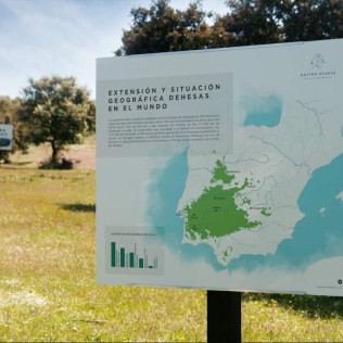 Gastro Dehesa: Ruta Musealizada de la Dehesa y Degustación (Mérida, Badajoz)