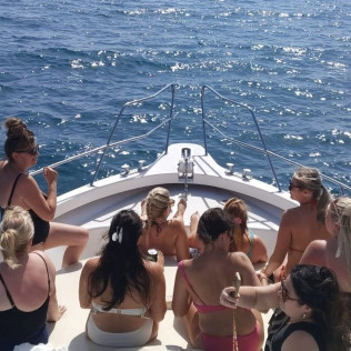 Dolphin Trip: Avistamiento de Delfines en Barco (Fuengirola, Málaga)