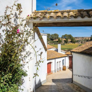 Desayuno y Visita Completa a Bodega con Degustación y Cata de Vinos en Bodega Miquel J. Jané (Barcelona)