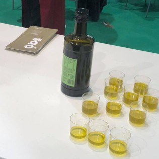 Visita a Bodega, Desayuno de Tenedor y Cata de Vinos y Aceite para dos en Mas Blanch i Jové (Lleida)