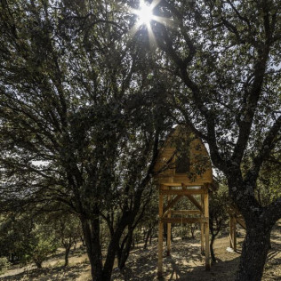 Dormir en una Cabaña en los Árboles para dos (Madrid)