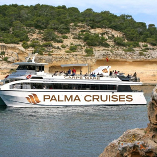 Dolphin Watch: Salida en Barco con Avistamiento de Delfines (Palma, Mallorca)