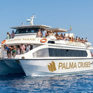Dolphin Watch: Salida en Barco con Avistamiento de Delfines (Palma, Mallorca)