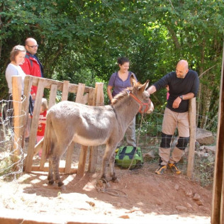 Dormir en una Cabaña en el Árbol: Una Noche en la Cabaña Roble (Villanueva de Arce, Navarra)