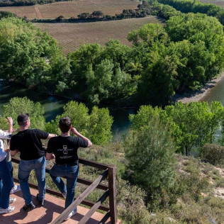 Visita Guiada a Bodegas Valdelana, Museo del Vino y Jardín de las Variedades con Cata de Vino y Aceite (Álava)
