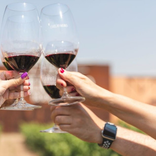 In Malleolus Veritas: Visita a Bodega, Aperitivo y Cata Premium de Vino en Bodegas Emilio Moro (Pesquera de Duero, Valladolid)