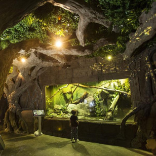 Entrada al Acuario de Sevilla (Sevilla)