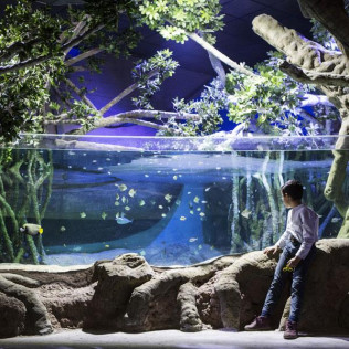 Entrada al Acuario de Sevilla (Sevilla)