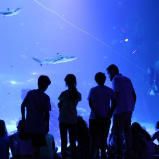 Entradas a Atlantis Aquarium (Madrid)