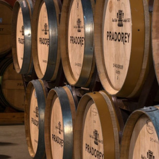 Visita Premium a Bodega y Viñedos Pradorey con Cata Dirigida de 3 Vinos de Alta Gama para dos (Gumiel de Mercado, Burgos) 