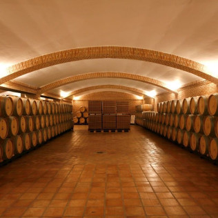 Visita a Bodegas Castiblanque con Cata de Vino y Comida (Campo de Criptana, Ciudad Real)