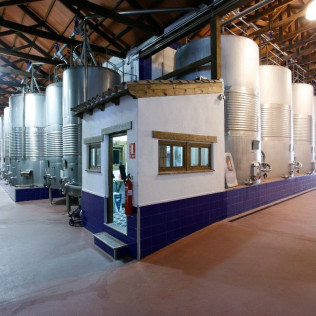 Visita a Bodegas Castiblanque con Cata de Vino y Comida (Campo de Criptana, Ciudad Real)