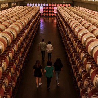 Visita a Bodega Montecillo con Taller de Barricas, Cata de Vinos Premium y Picnic (Navarrete, La Rioja)