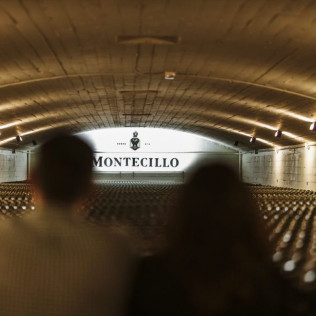 Visita a Bodega Montecillo con Taller de Barricas, Cata de Vinos Premium y Picnic (Navarrete, La Rioja)