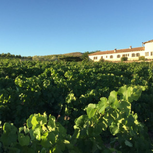 Menú Degustación para dos en Hotel Enoturismo Mainetes (Albacete)