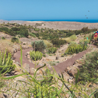 Entrada a Oasis Wildlife Fuerteventura (La Lajita, Fuerteventura)