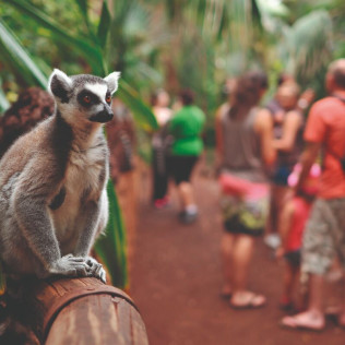 Entrada a Oasis Wildlife Fuerteventura (La Lajita, Fuerteventura)