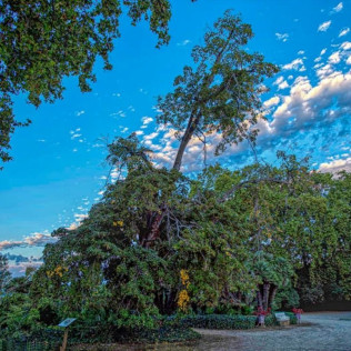 Entrada a Parc Samà (Cambrils, Tarragona)
