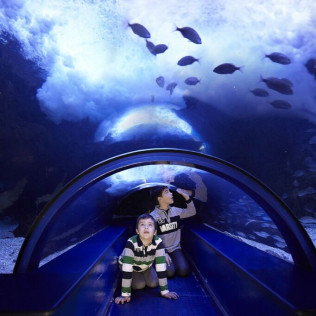 Entrada al Oceanogràfic (Valencia)