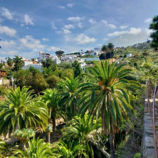 Entrada al Parque del Drago (Icod de los Vinos, Santa Cruz de Tenerife)