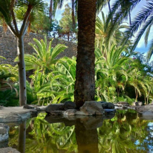 Entrada al Parque del Drago (Icod de los Vinos, Santa Cruz de Tenerife)