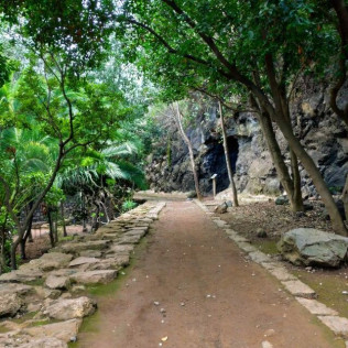Entrada al Parque del Drago (Icod de los Vinos, Santa Cruz de Tenerife)