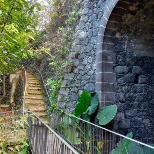 Entrada al Parque del Drago (Icod de los Vinos, Santa Cruz de Tenerife)