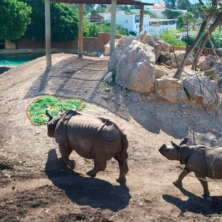 Entrada Combinada a Terra Natura y a Aqua Natura (Benidorm, Alicante)
