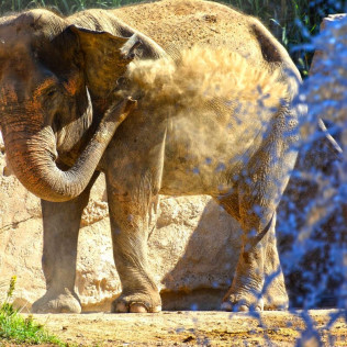 Entrada a Terra Natura (Benidorm, Alicante)