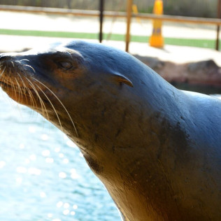 Entrada a Terra Natura (Benidorm, Alicante)