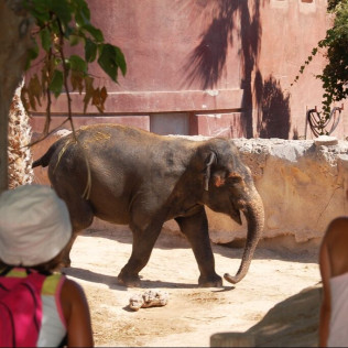 Entrada a Terra Natura (Benidorm, Alicante)
