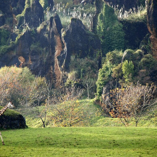 Entradas al Parque de la Naturaleza de Cabárceno y Telecabina (Obregón, Cantabria)