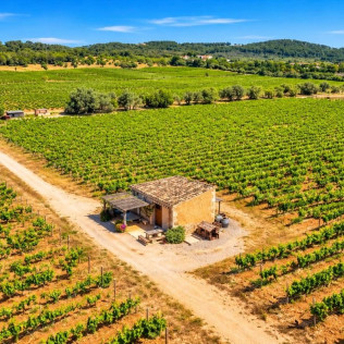 Cata Vertical de Reserva o Gran Reserva en Bodega Es Fangar Vins (Mallorca)