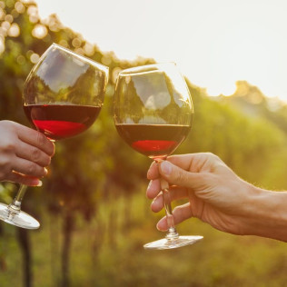 Escapada con Desayuno en U Hotel Villa-Gomá y Visita a Bodega Grandes Vinos con Cata de Vinos para dos (Zaragoza)
