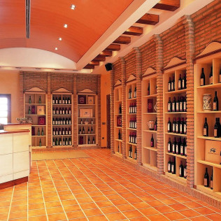 Escapada con Desayuno en U Hotel Villa-Gomá y Visita a Bodega Grandes Vinos con Cata de Vinos para dos (Zaragoza)