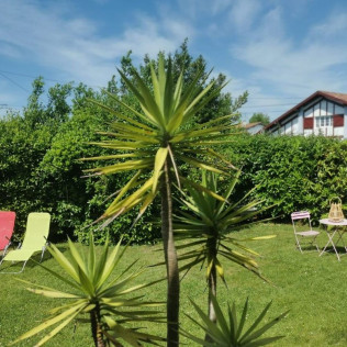 Escapada con Spa Privado en Bulle d'Eden (Bayona, Francia)