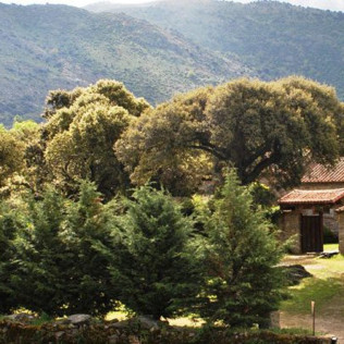 Escapada de 2 Noches con Cena en Hotel La Trocha de Hoyorredondo 4* (Hoyorredondo, Ávila)