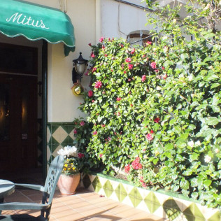Escapada con Desayuno en Hotel Mitus (Canet de Mar, Barcelona)